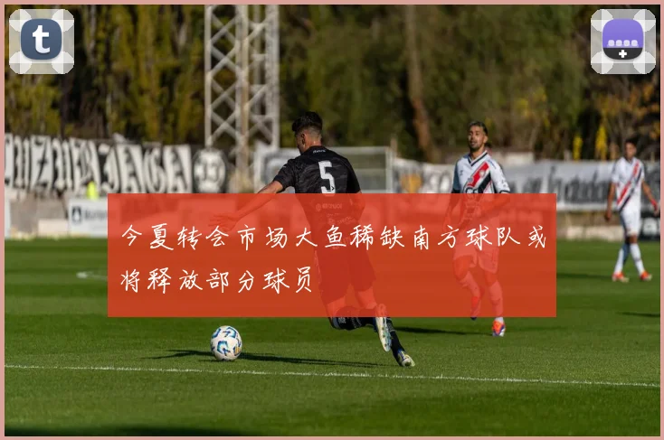 今夏转会市场大鱼稀缺南方球队或将释放部分球员