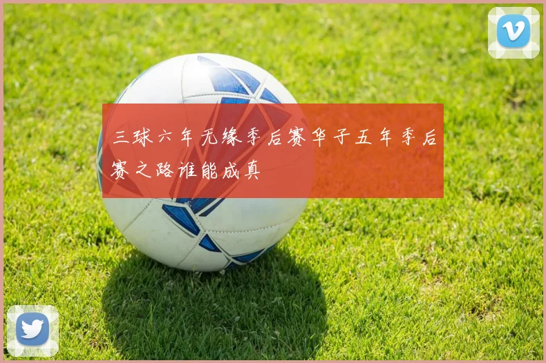三球六年无缘季后赛华子五年季后赛之路谁能成真